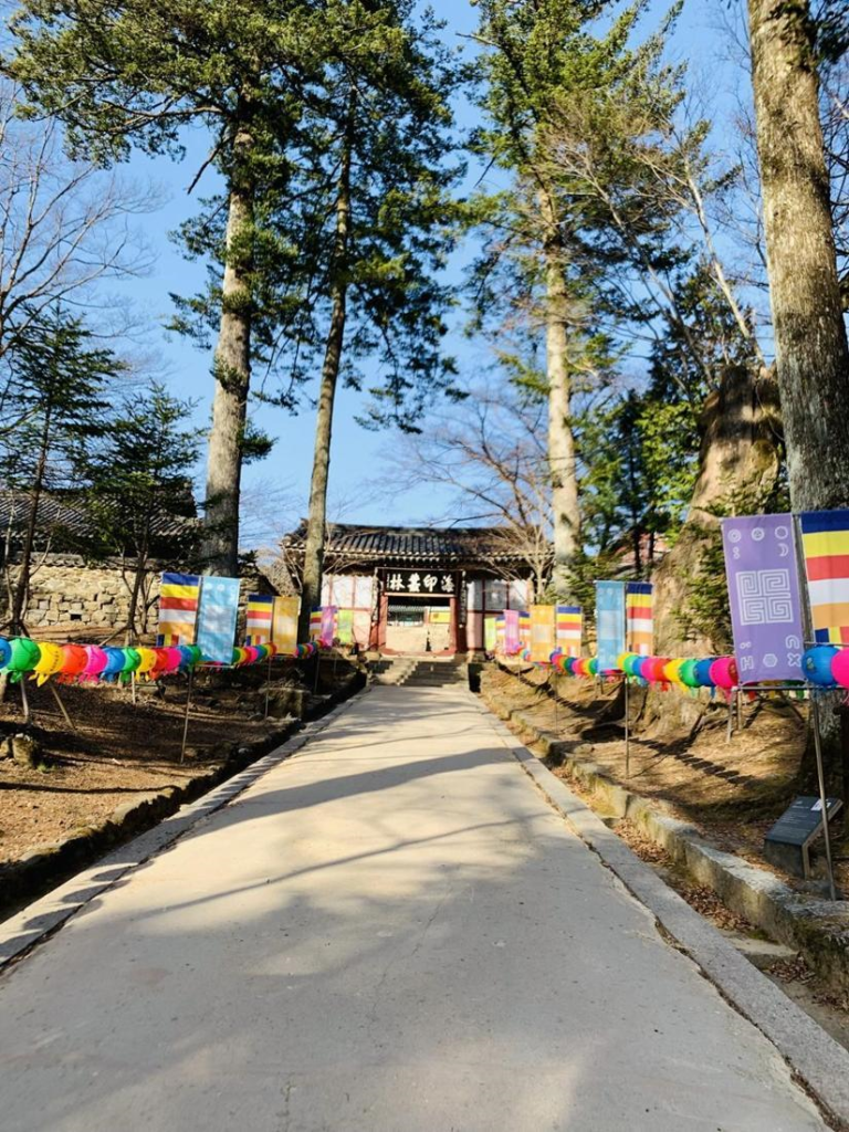 galeria dormir templo 1