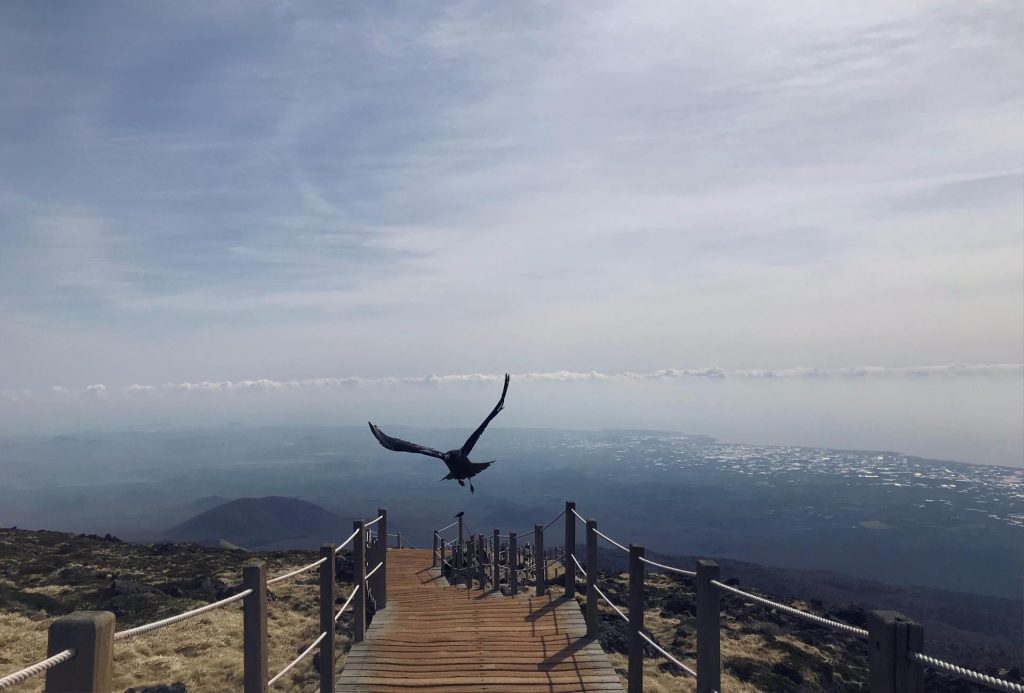 Panorámicas desde el monte Hallasan. Vistas de la costa desde el monte Hallasan.